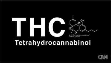 美国全国大麻合法了？别忽悠了，那是“汉麻” | 图姐