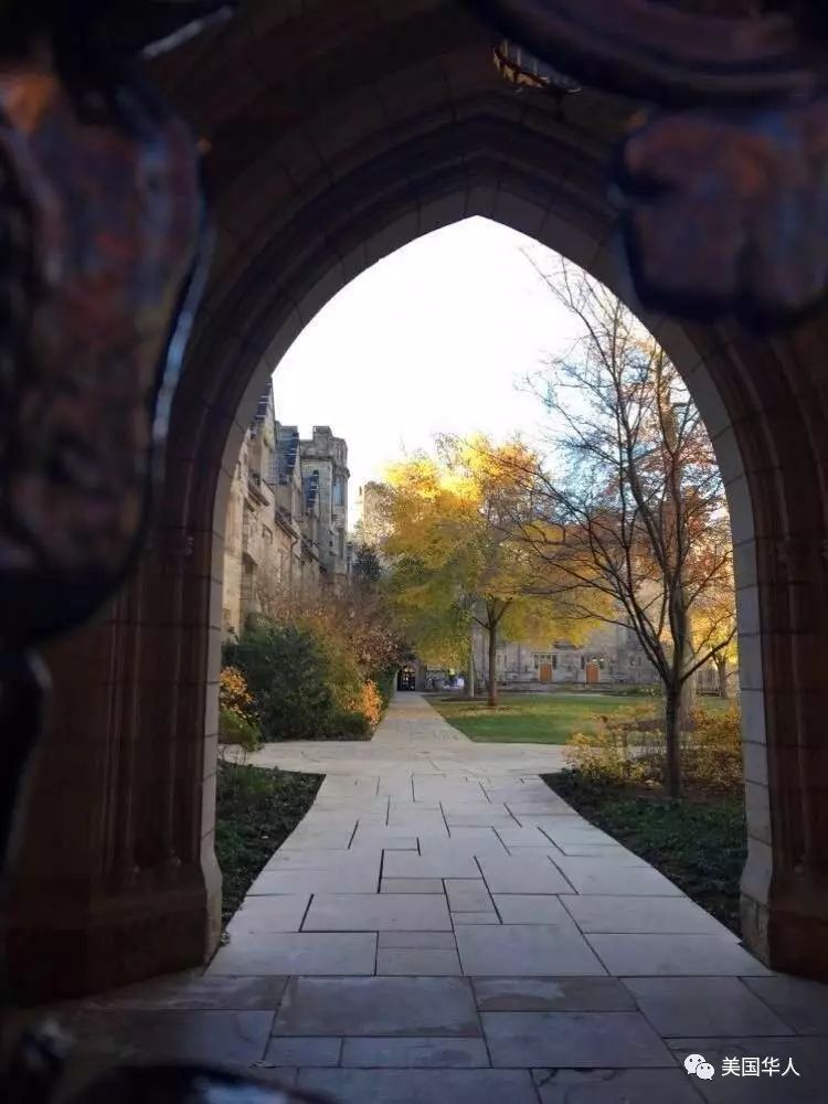 普通的优秀，15位耶鲁录取生的申请文书和翔实资料