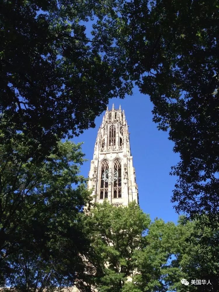 普通的优秀，15位耶鲁录取生的申请文书和翔实资料