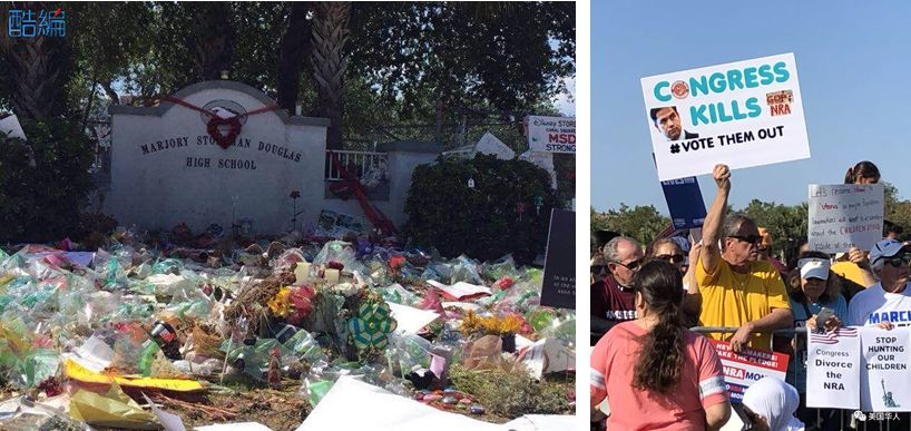 ​这次真的不同(二): 华人社区积极参与控枪运动