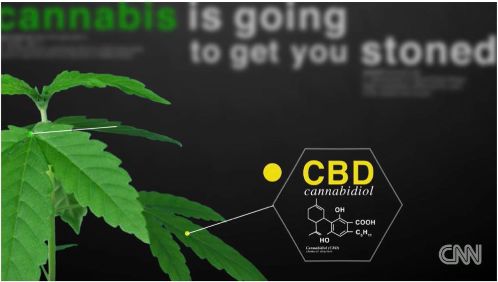 美国全国大麻合法了？别忽悠了，那是“汉麻” | 图姐