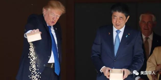 胡说 | 特朗普安倍番外鲤鱼图