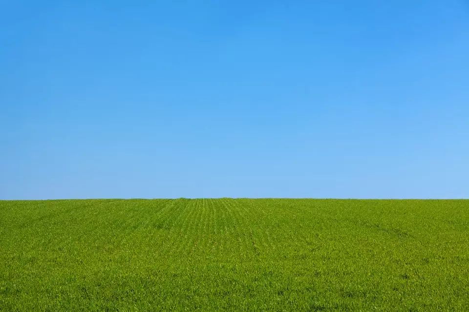 Featured image for 我给一个川粉朋友的微信