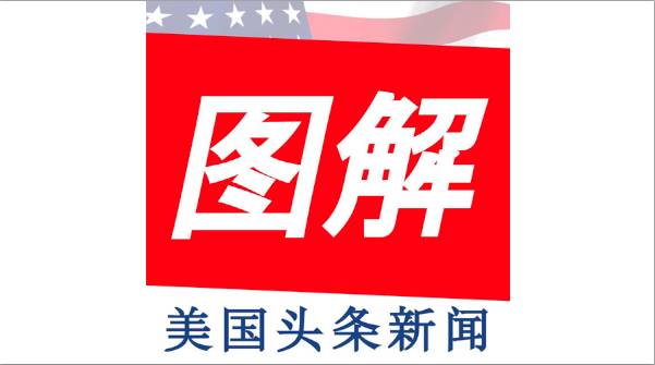 Featured image for 图姐独家特刊 | 百万女性大游行队伍中的华人 /【投票】您支持女性大游行吗？