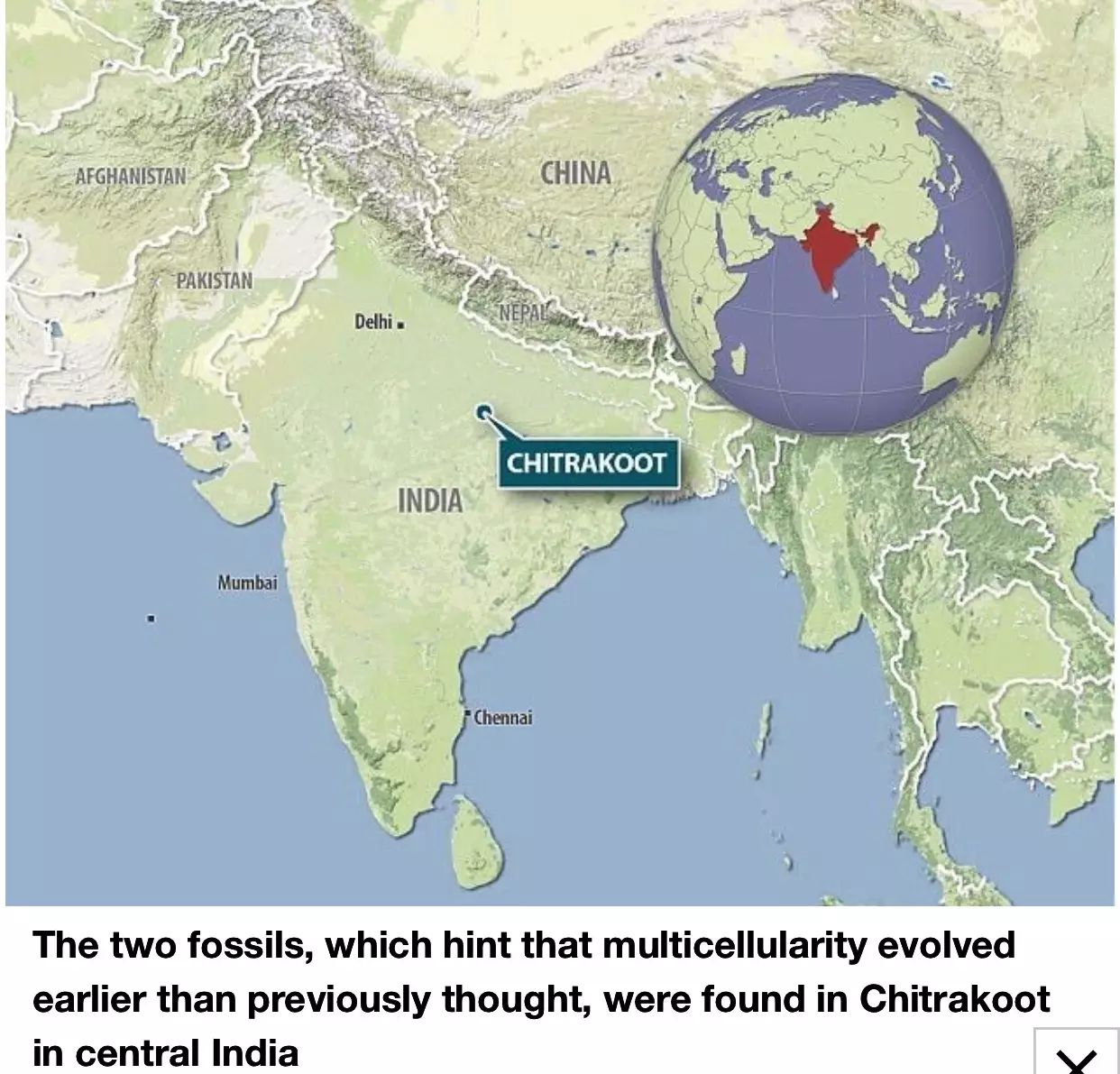 图姐 |  德州议员提案对男性自慰罚款 / 国务卿被控曾用别名电邮讨论气候变化问题 / 地球上最古老的植物被发现
