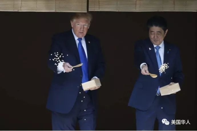 胡说 | 特朗普安倍番外鲤鱼图