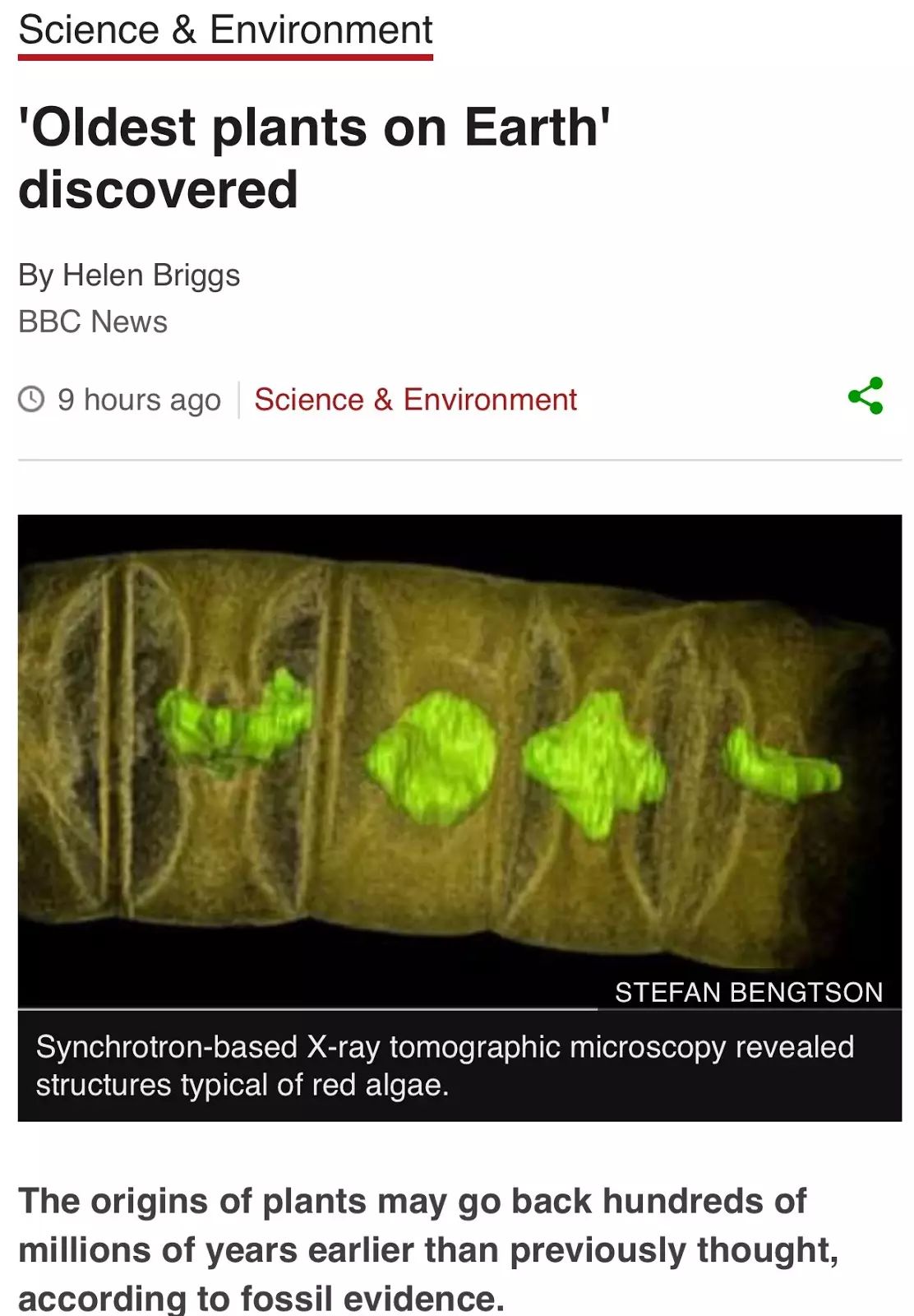 图姐 |  德州议员提案对男性自慰罚款 / 国务卿被控曾用别名电邮讨论气候变化问题 / 地球上最古老的植物被发现