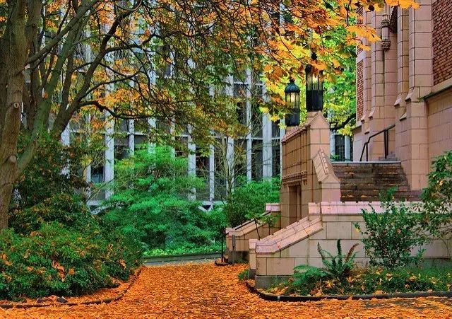 感恩话题：那借给我课堂笔记的美国女孩