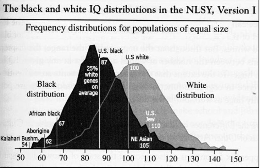 基因决定智商？揭开“种族现实主义”伪科学的面纱