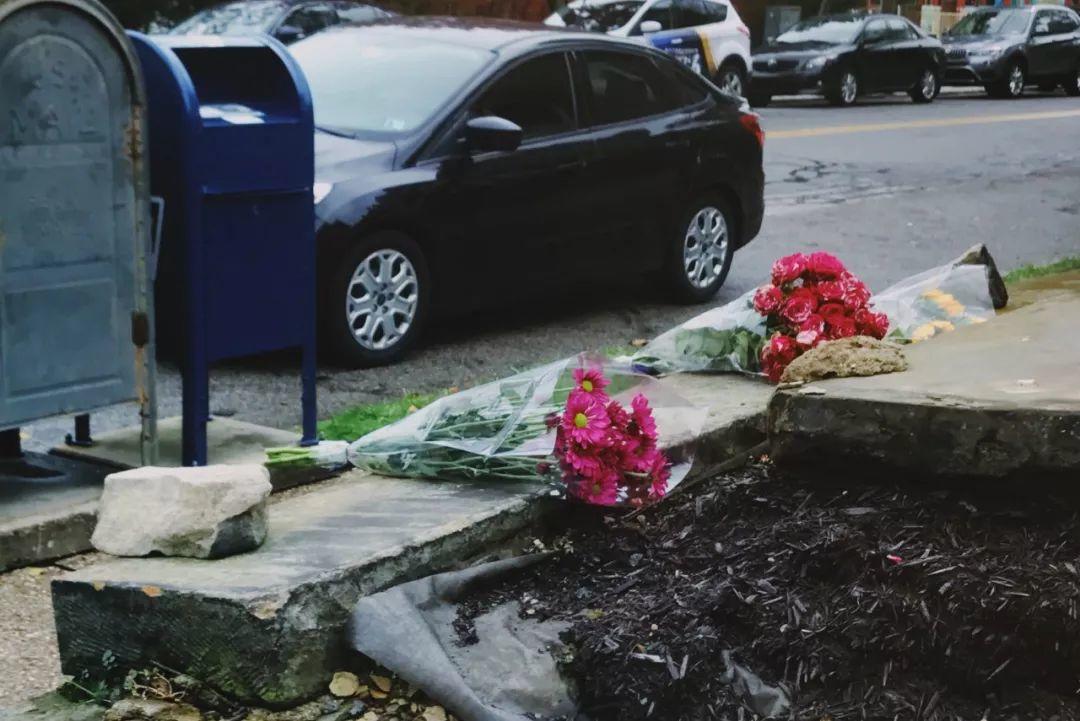 生命之树下鲜红的花——写在美国史上最惨重反犹枪击案之后