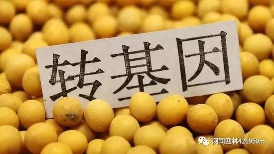 美国人究竟吃不吃转基因食物? 美国人究竟吃不吃转基因食物?