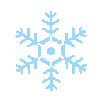 回首动荡不安的2018，美国华人携手跨入崭新的一年