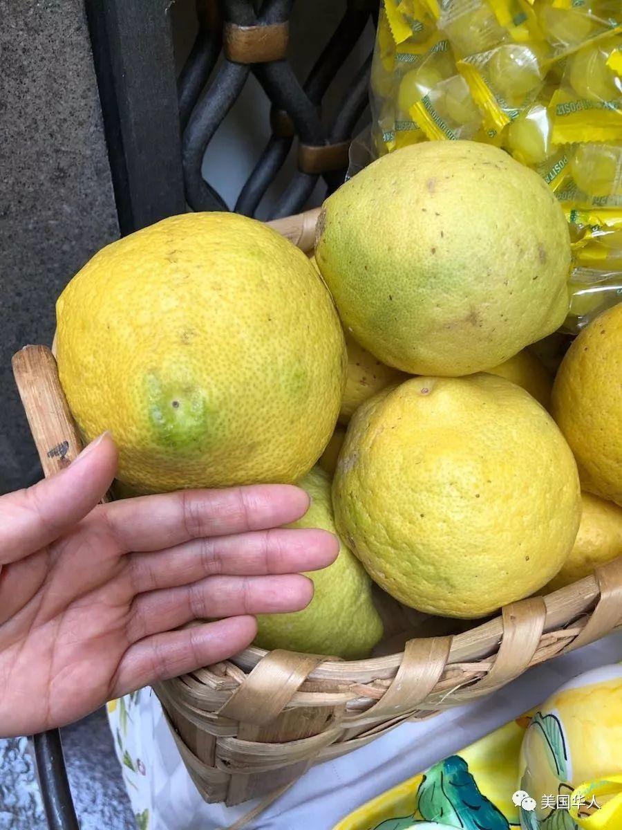 说走就走的意大利三周行 一次美景与美食的盛宴之旅（二）