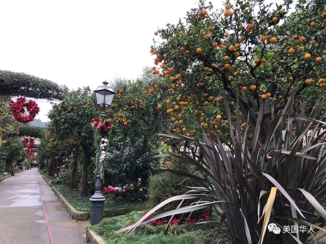 说走就走的意大利三周行 一次美景与美食的盛宴之旅（二）