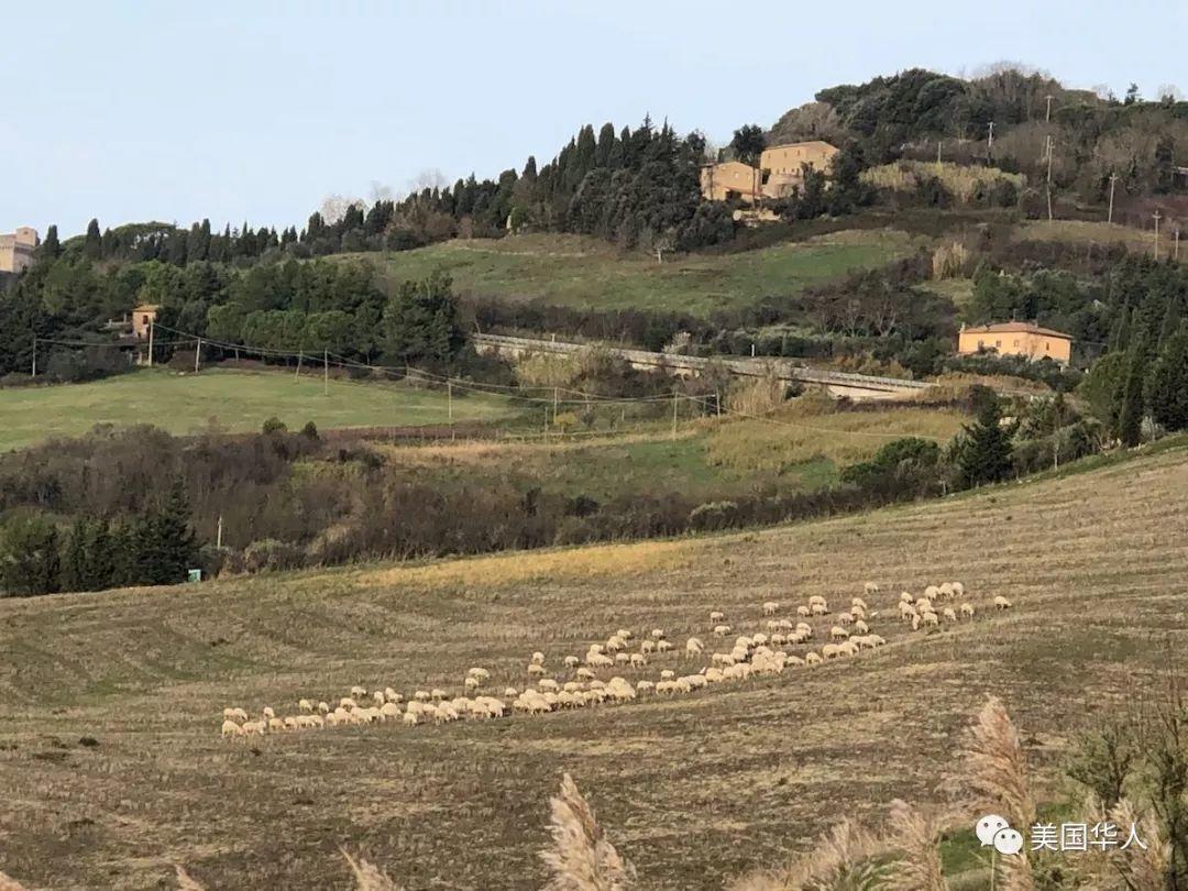 说走就走的意大利三周行 一次美景与美食的盛宴之旅（二）