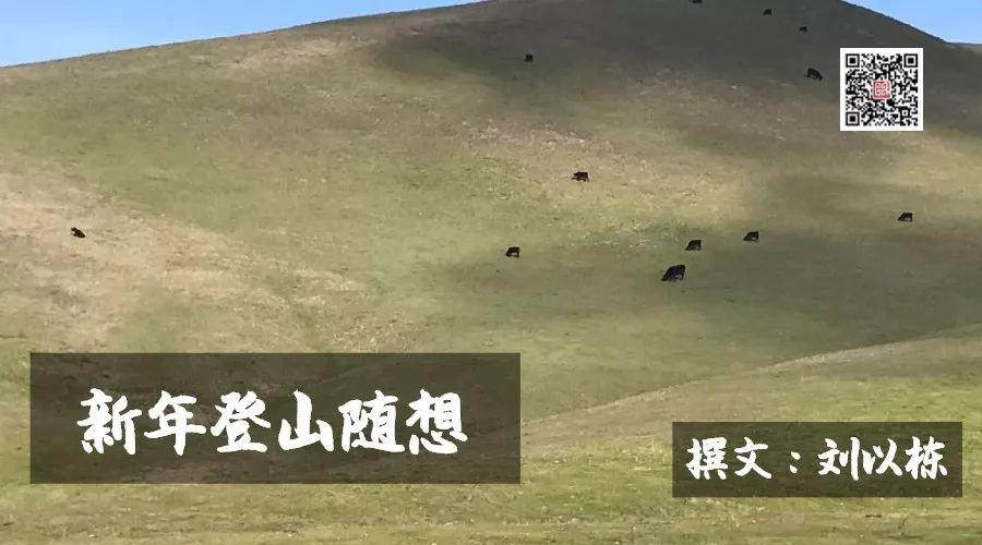 2019新年登高随想，那山，那草，那牛......