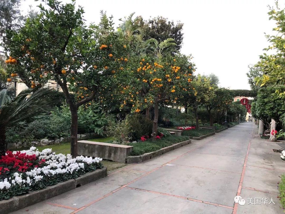 说走就走的意大利三周行 一次美景与美食的盛宴之旅（二）