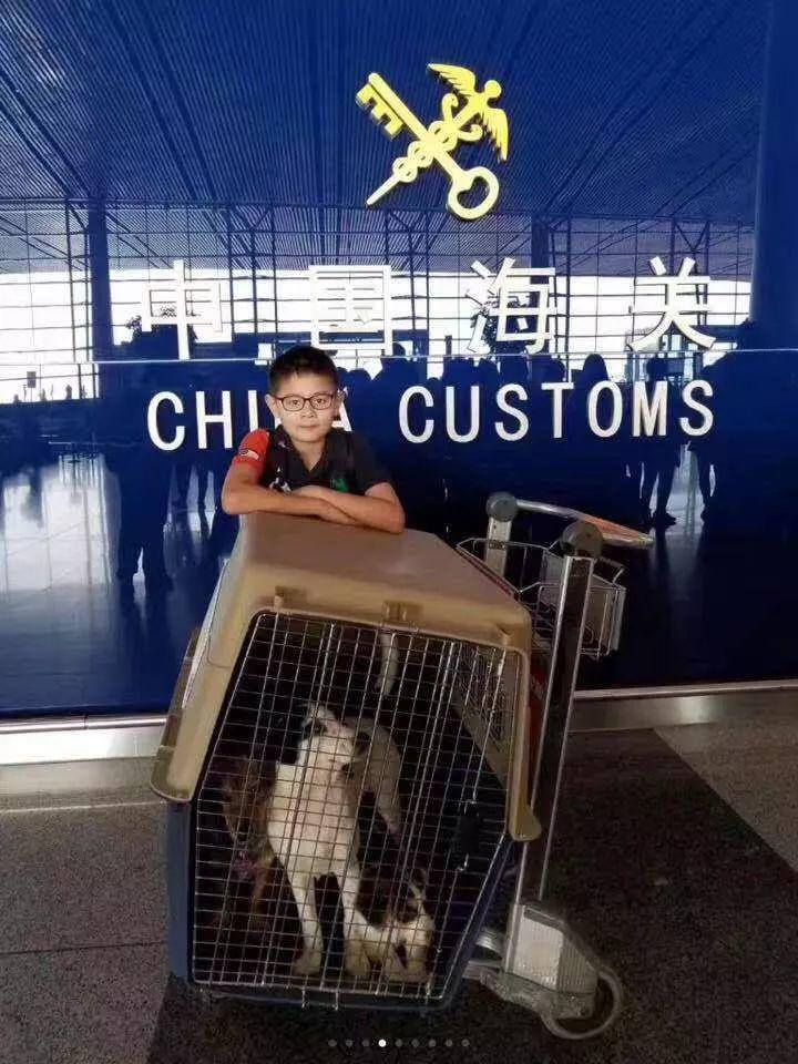 2018，美国华人社区默默耕耘者正在书写历史