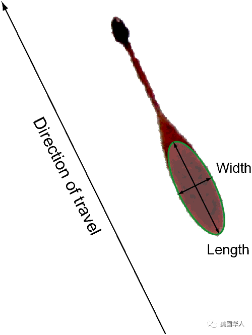 因杀妻案被判99年的丈夫鸣冤34年，“血疑”故事告诉我们什么？