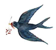 从“过客”到公民，在美大陆新移民政治觉醒三部曲