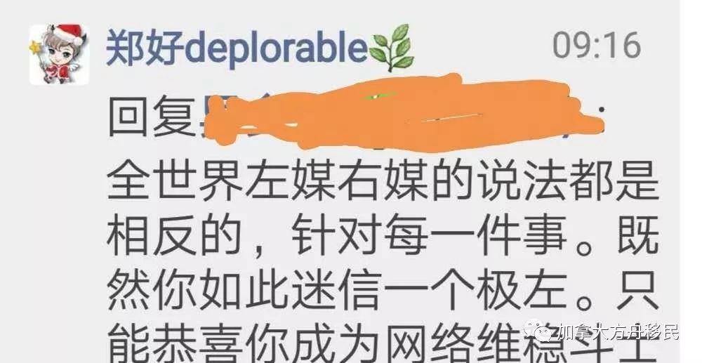 打假郑好之3： 奥地利政坛丑闻反转？（上）