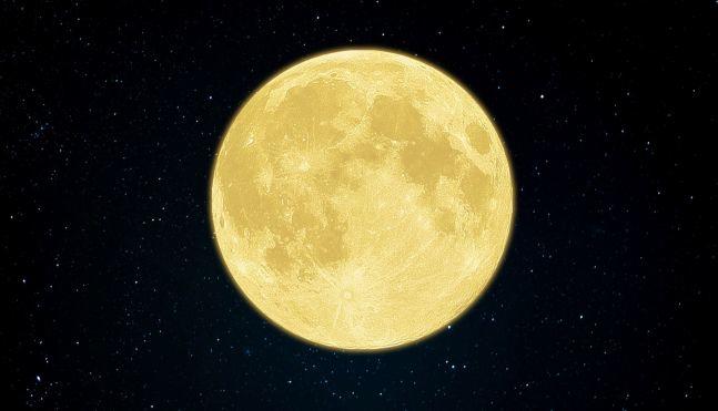 岁岁月圆Bolboa, 今年中秋精彩不一般