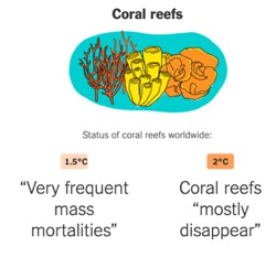 气候变化是“骗局”还是事实？是杞人忧天还是刻不容缓？