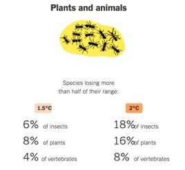 气候变化是“骗局”还是事实？是杞人忧天还是刻不容缓？