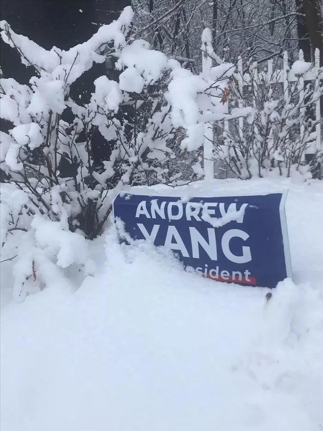 退选并非终点，在美国掀起一场旋风的杨安泽的下一步？