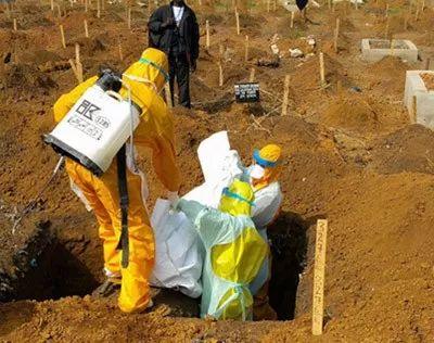 来自蝙蝠、死亡率近90%的埃博拉病毒如何被控制及瑞德西韦的来历