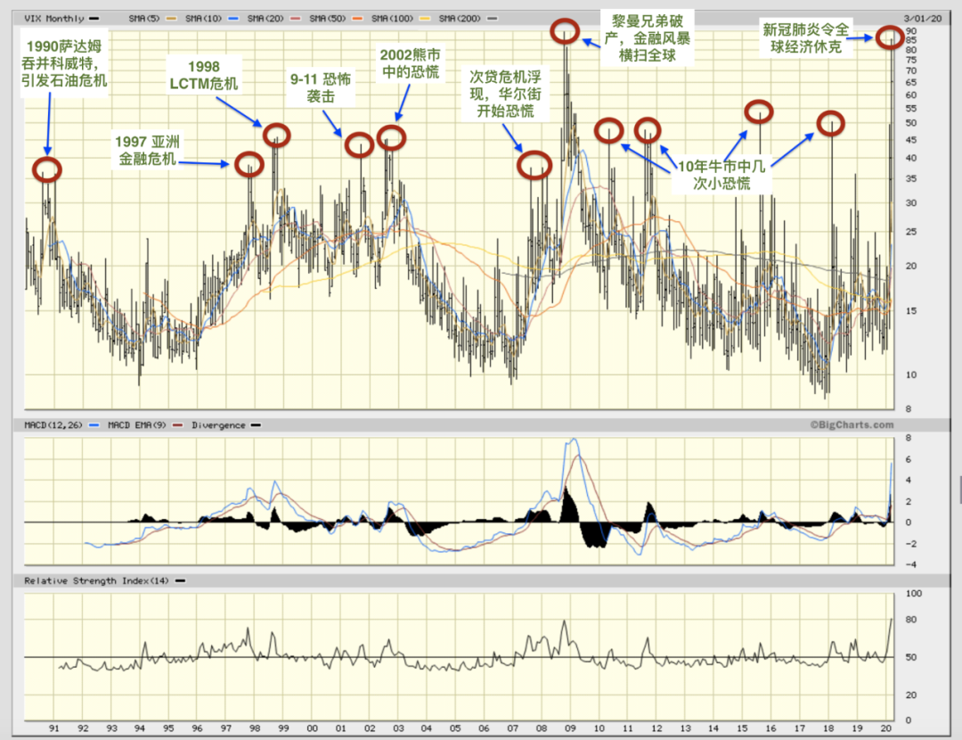 老熊的春天来了——要向史上最长的牛市说bye-bye了吗？ - 美国华人