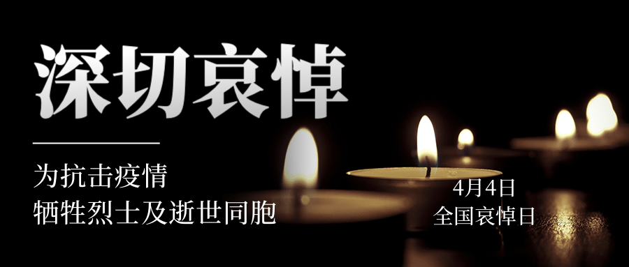 写在全国哀悼日，除了哀悼还有什么？