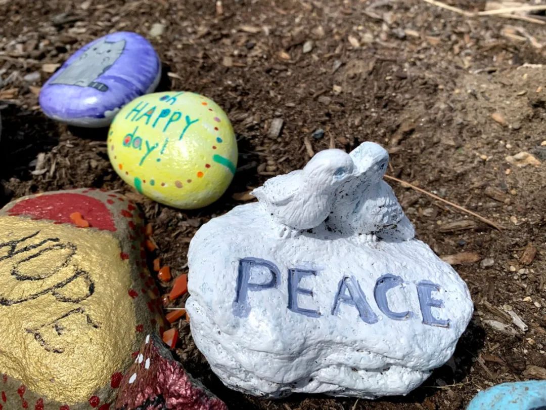 一位波士顿华人妈妈的酸甜苦辣：疫情下的美国中小学生