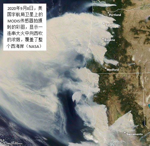 森林大火,飓风,干旱和洪涝——人类生活的世界为什么在萎缩? 森林大火,飓风,干旱和洪涝——人类生活的世界为什么在萎缩?