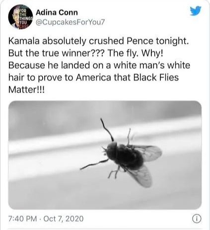 ​副总统辩论的主角是谁？不是那只苍蝇，而是特朗普总统