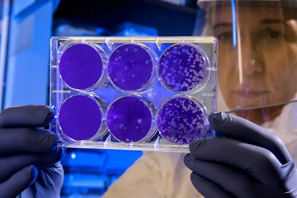 抗体药物救了特朗普吗？我们离新冠病毒特效药有多远？