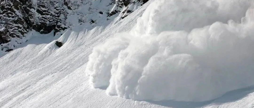 Featured image for 当雪崩的时候，哪一片雪花是无辜的？| 专访前川普支持者