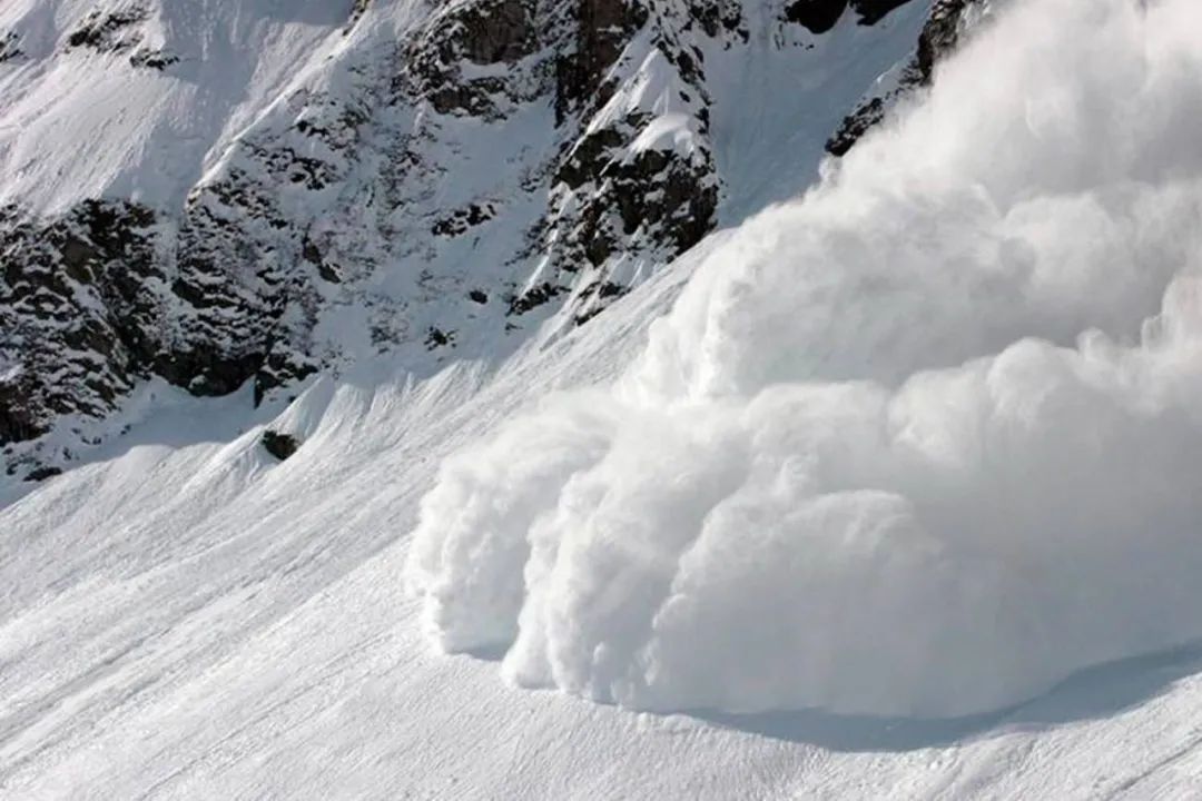 当雪崩的时候，哪一片雪花是无辜的？| 专访前川普支持者