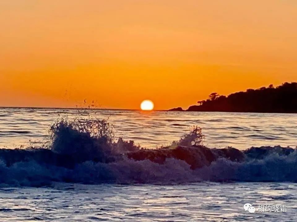 湾区最早感染新冠的Monica, 畅谈在美40多年的经历