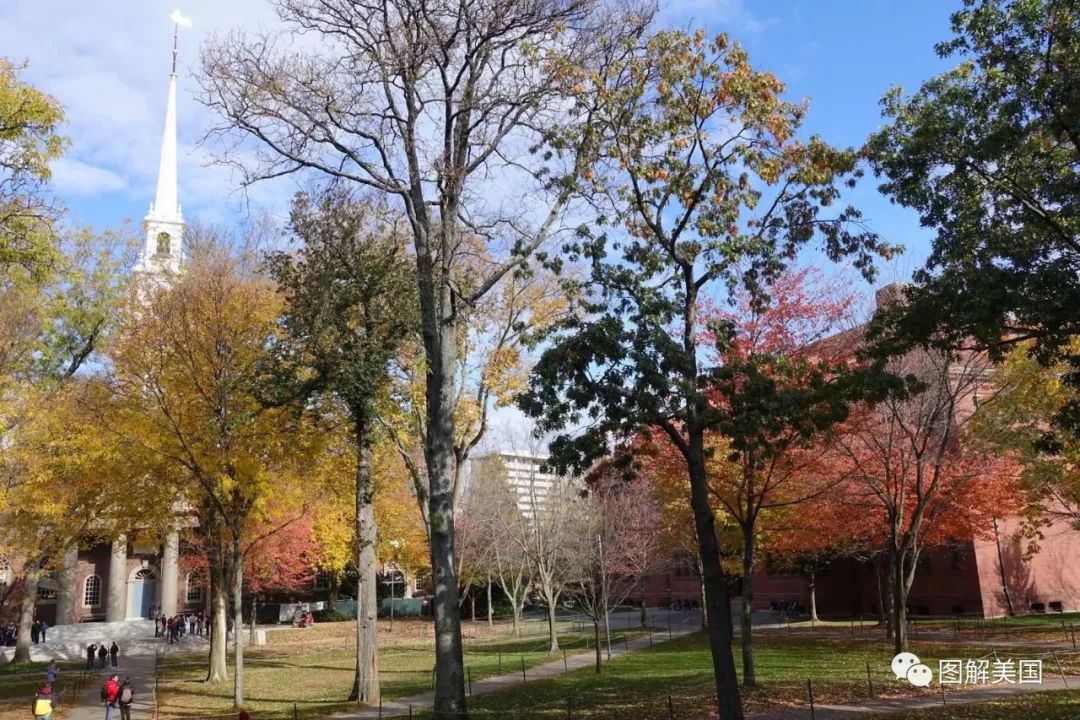 藤妈绝非虎妈，我们是怎么推娃的？