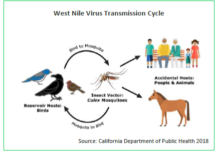 拜登总统能为气候变化带来转机吗？