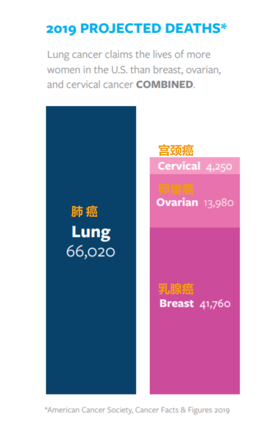 女性死亡第一杀手是肺癌！华裔女士抗病魔带领波士顿华人行动起来