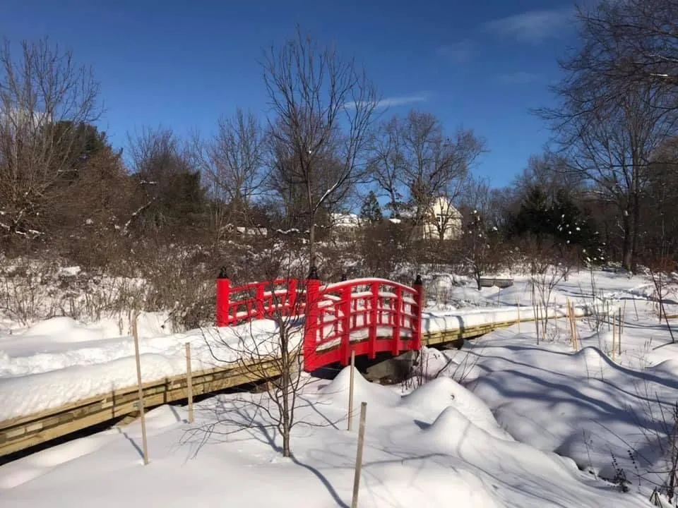 女性死亡第一杀手是肺癌！华裔女士抗病魔带领波士顿华人行动起来