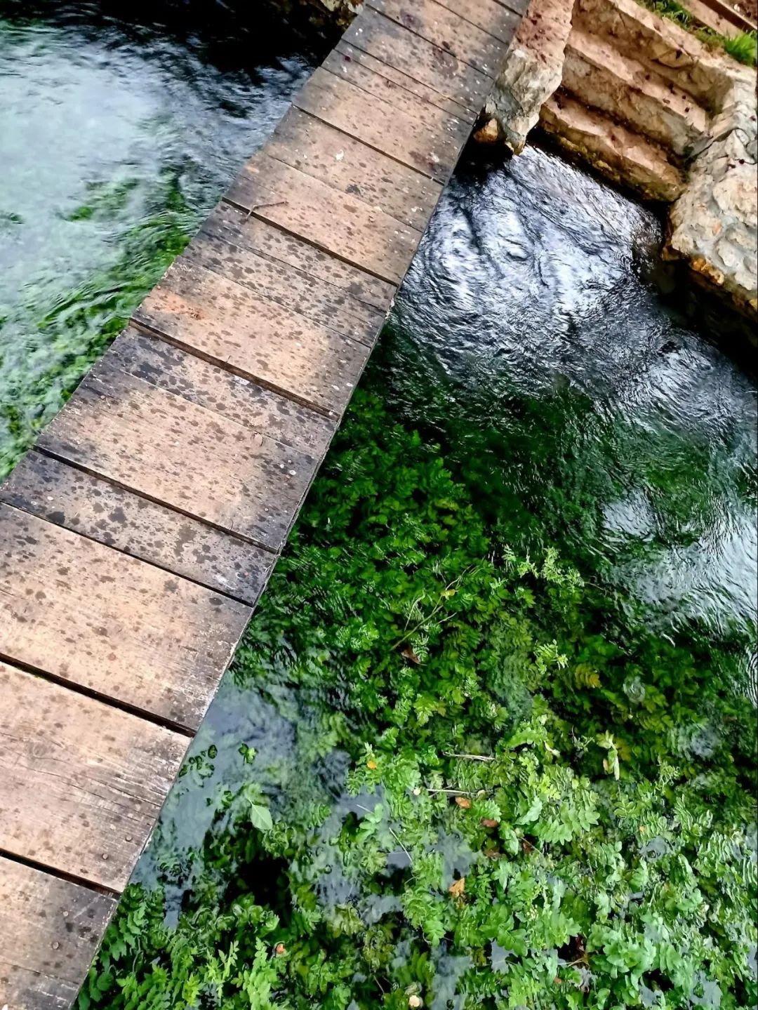 又一场说走就走的旅行：巴尔干半岛掠影（六）