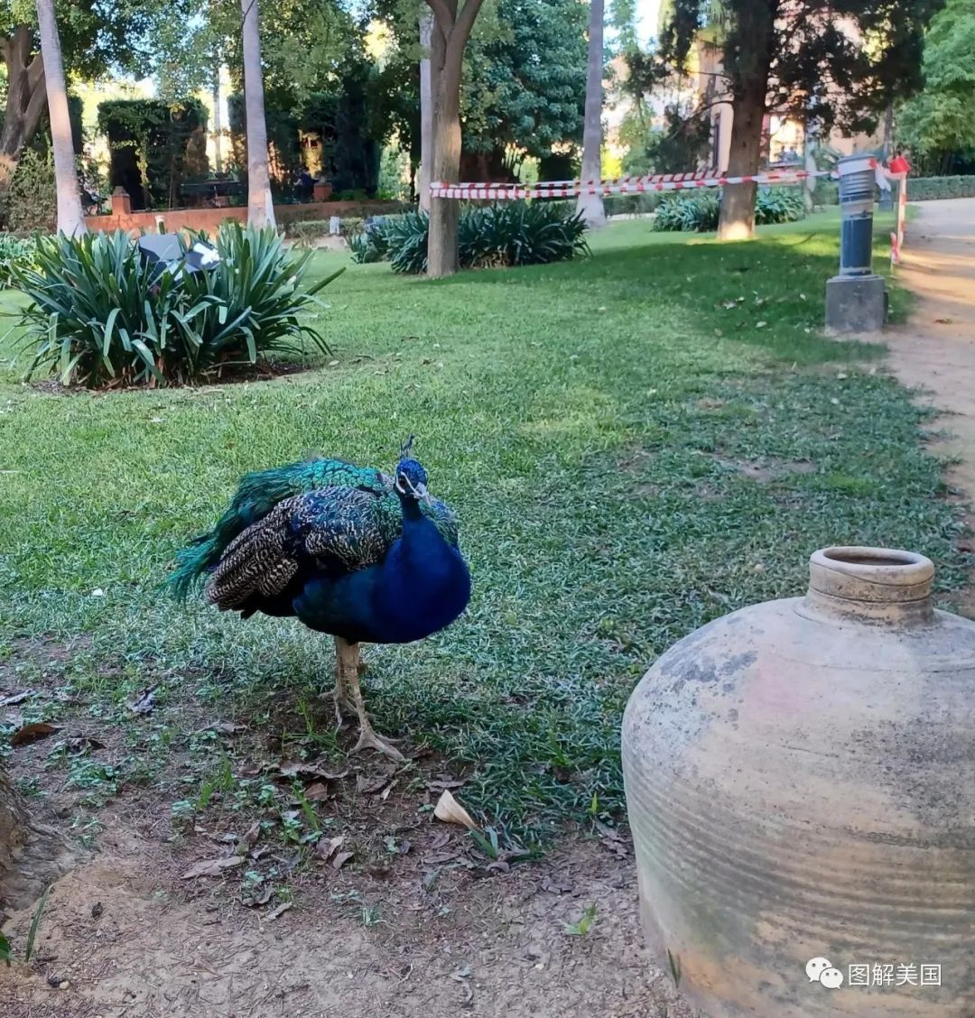 再一次说走就走的旅行——西班牙秋日行 (下) 再一次说走就走的旅行——西班牙秋日行 (下)