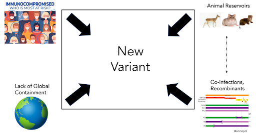 美国疫情再起？最新科学防疫攻略让你有备无患轻松度假