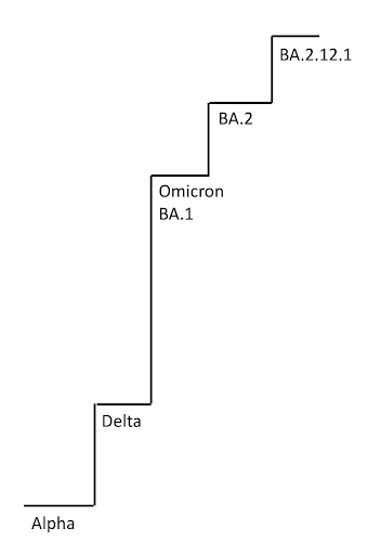 美国疫情再起？最新科学防疫攻略让你有备无患轻松度假